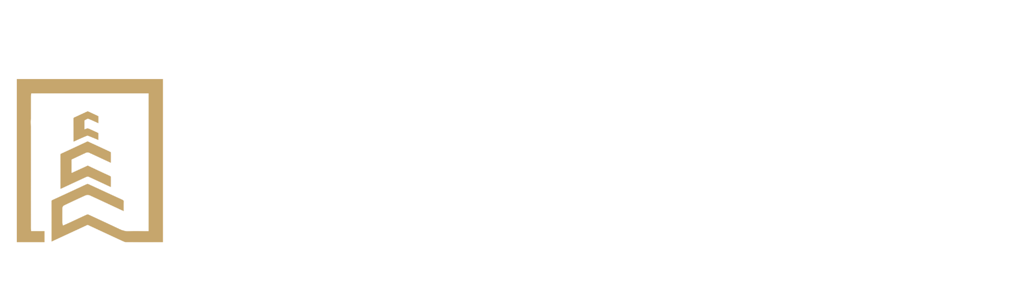 DVA Architecture